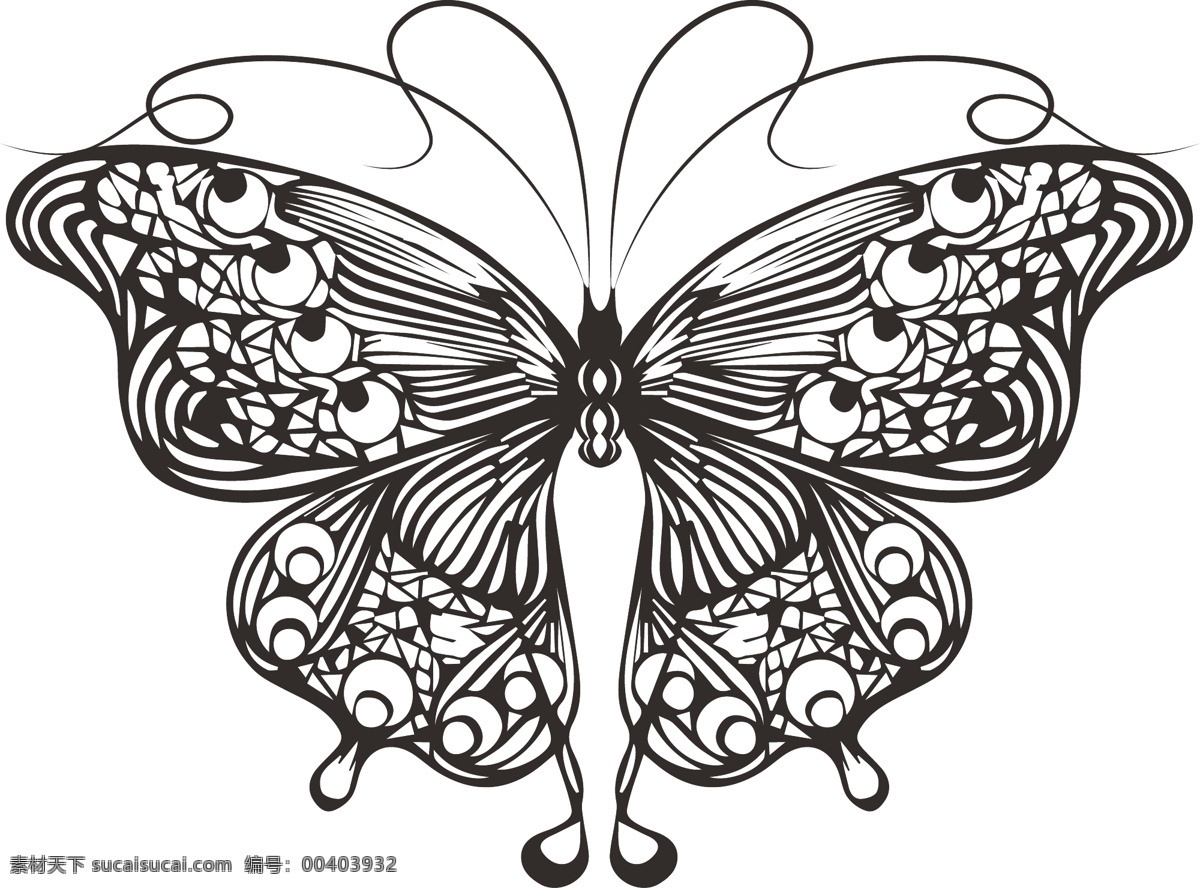 线描 蝴蝶 简洁 翅膀 美丽 动物 精美花纹 名片 卡片 白色