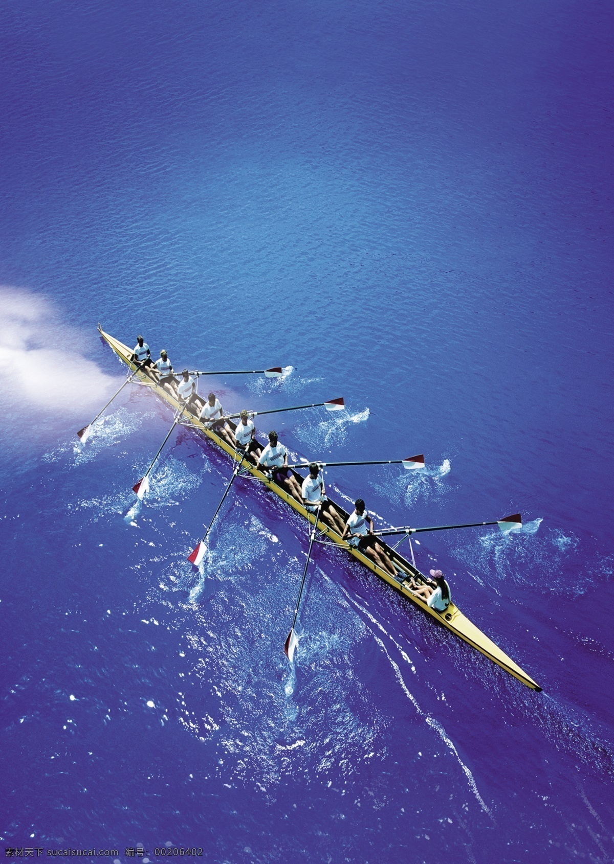 完美团队合层 完美团队 团队精神 企业团队 划船 划船团队 广告设计模板 源文件