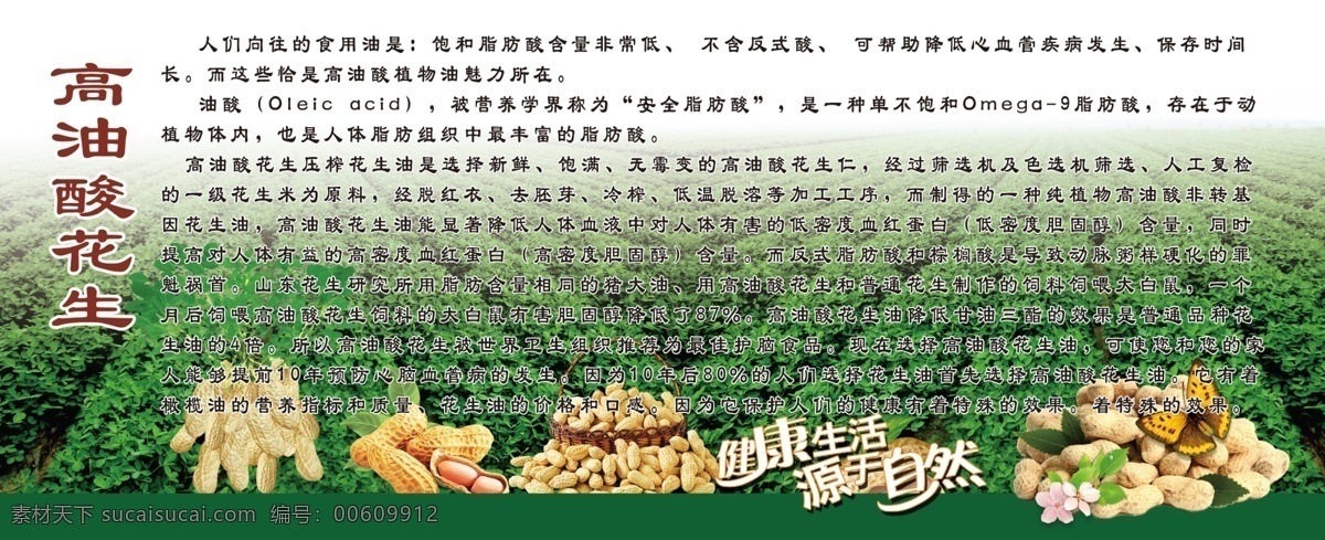 高油酸花生 榨花生油 高油酸簡介 高油酸作用 高油酸好處 花生 花生仁 健康生活 源于自然 花生地 分層