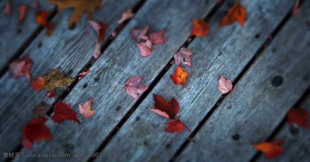 秋季 枫叶 4k 壁纸 创意 背景 效果 材质 高清 木板 秋天 分层 背景素材