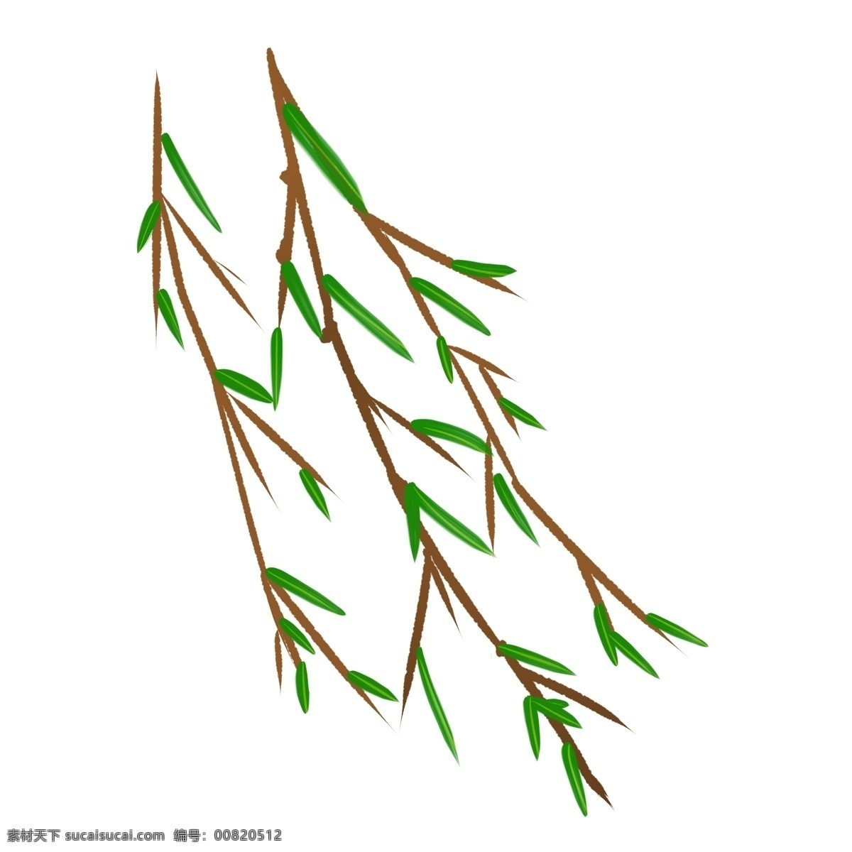 楊柳 柳樹(shù) 葉子 插畫(huà) 柳葉 樹(shù)枝 綠色 柳樹(shù)葉子 植物 柳葉插圖 柳樹(shù)葉子插畫(huà)