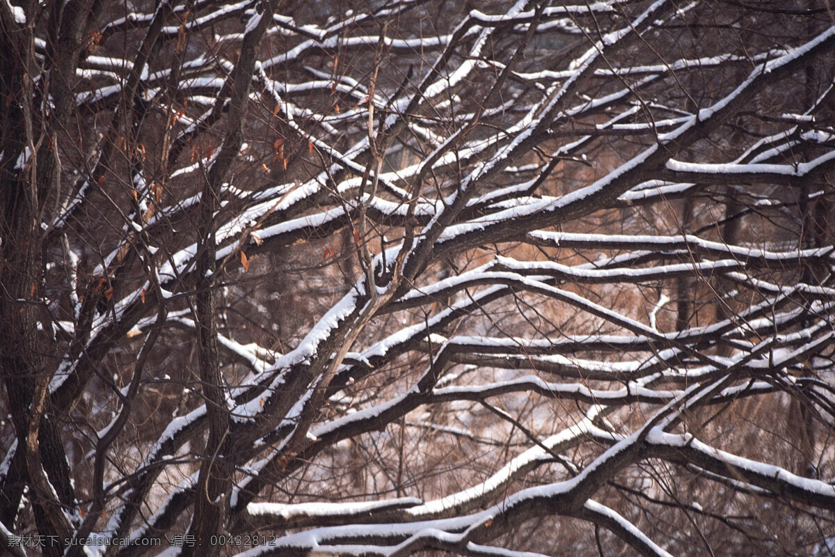 冬天 雪景 白雪 背景 冬天雪景 風(fēng)光 風(fēng)景 季節(jié) 攝影圖庫 自然 自然景觀 自然風(fēng)景 生活 旅游餐飲
