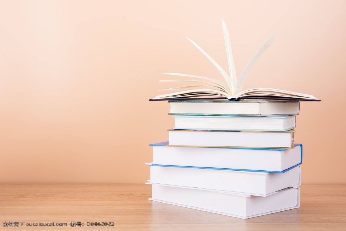 看書休閑 看書 休閑 學習 書本 閱讀 簡約 書文藝閱讀 生活百科 學習辦公
