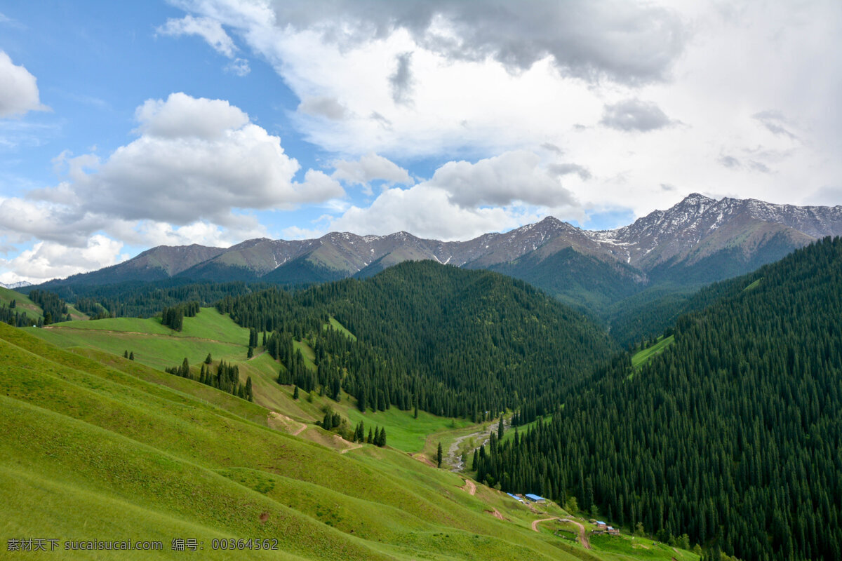 新疆牧场风光 科克尔斯陶 牧场风光 新疆风光 自然风光 蓝天 白云 高山 草场 树林 森林 自然风景 山水 田园 自然景观