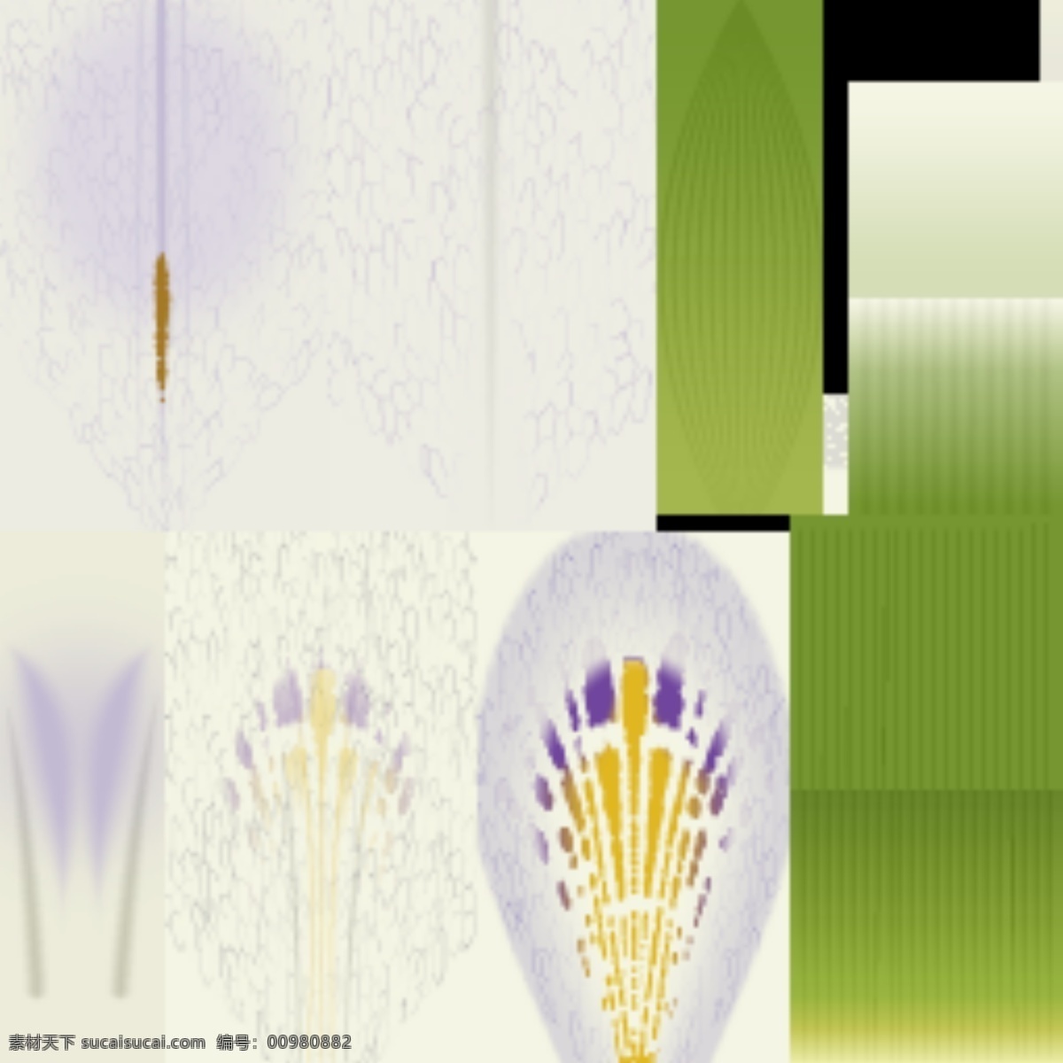 植物 花草 裝飾 室內(nèi)裝飾 用品 3d 模型 裝飾素材 室內(nèi)裝飾用品 花草3d模型 花草裝飾素材 家居裝飾素材 室內(nèi)裝飾用圖