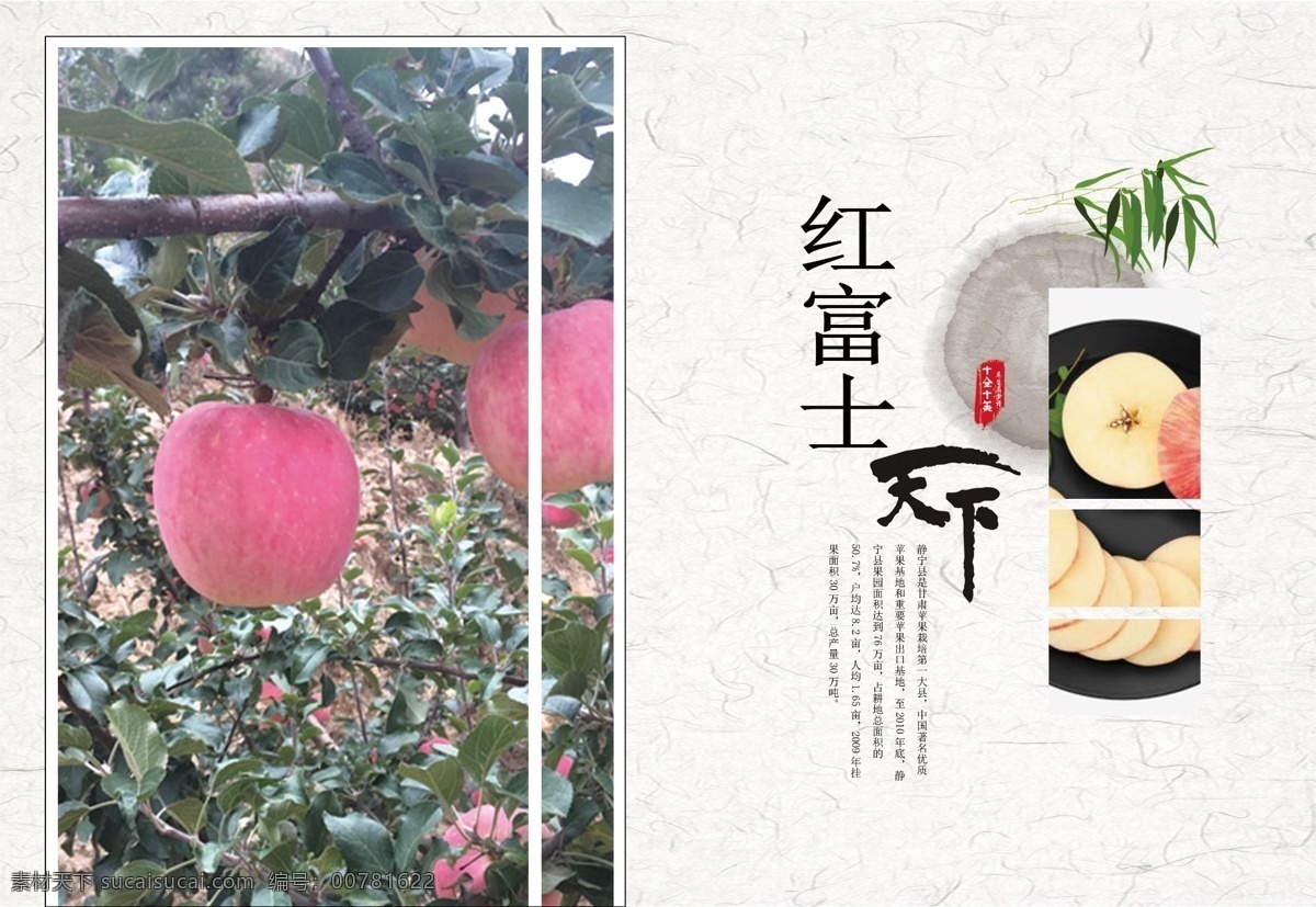 紅富士 蘋果 廣告 冊 靜寧 可口 香甜 甘醇 宣傳冊 海報 水果 紅蘋果 健康 綠色 無機 宣傳冊廣告冊 畫冊設計