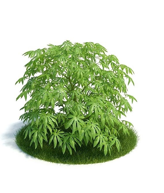 植物 樹木 景觀樹木 園林 室外 室內(nèi) 模型 盆栽 景觀 室內(nèi)模型 3d設(shè)計模型 源文件 max