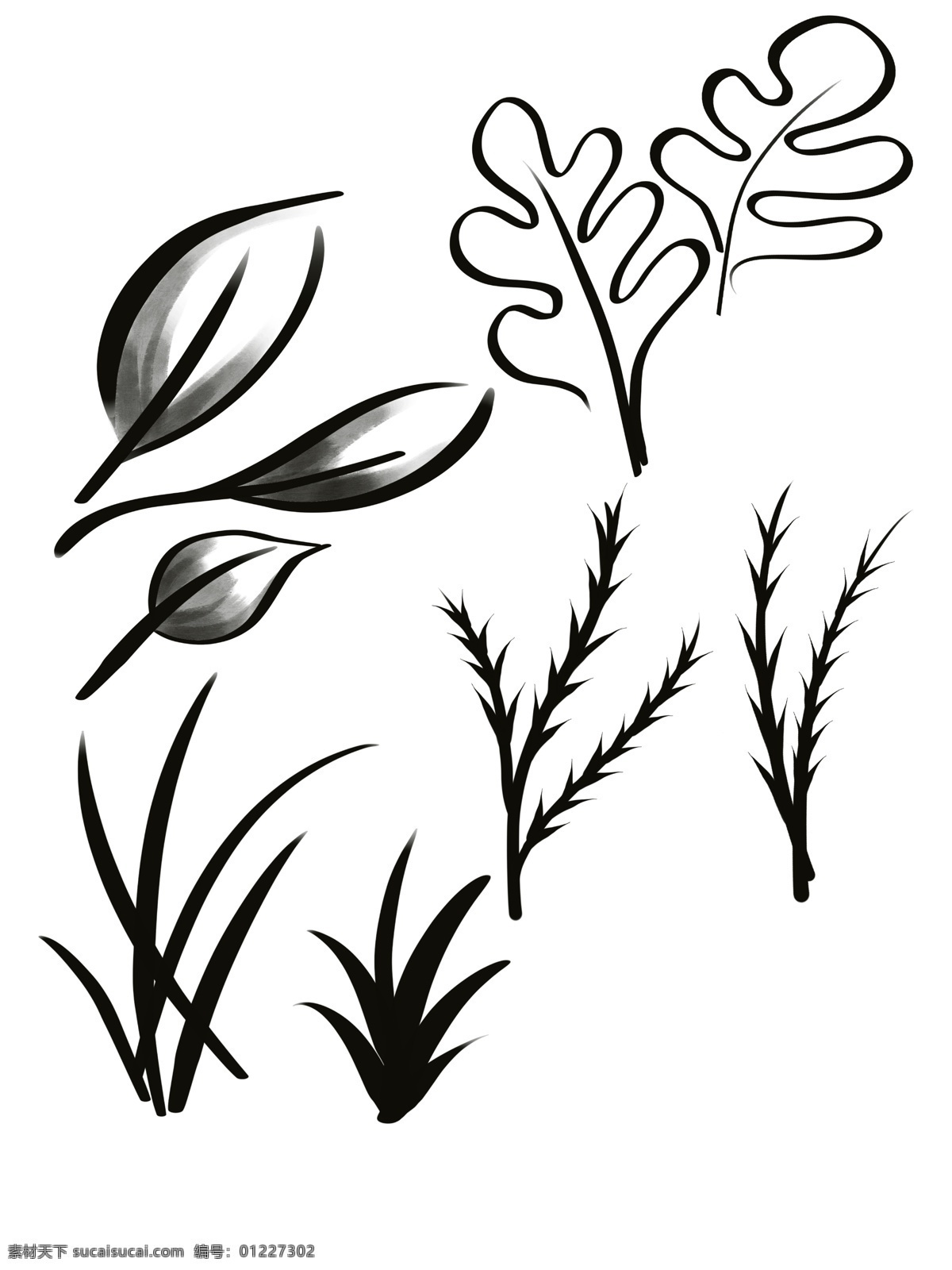 植物 剪影 树叶 黑白 手绘 小草 植物剪影 黑白树叶 水彩 刺条