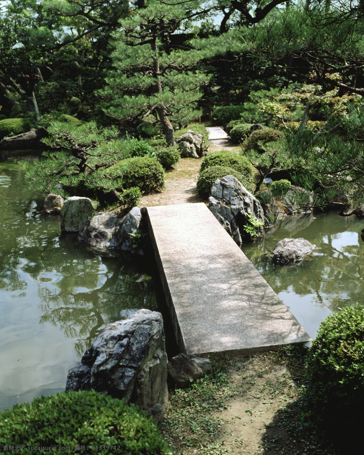 樹免費(fèi)下載 風(fēng)景 山水風(fēng)景 攝影圖 樹 植物 自然景觀 水 家居裝飾素材 山水風(fēng)景畫