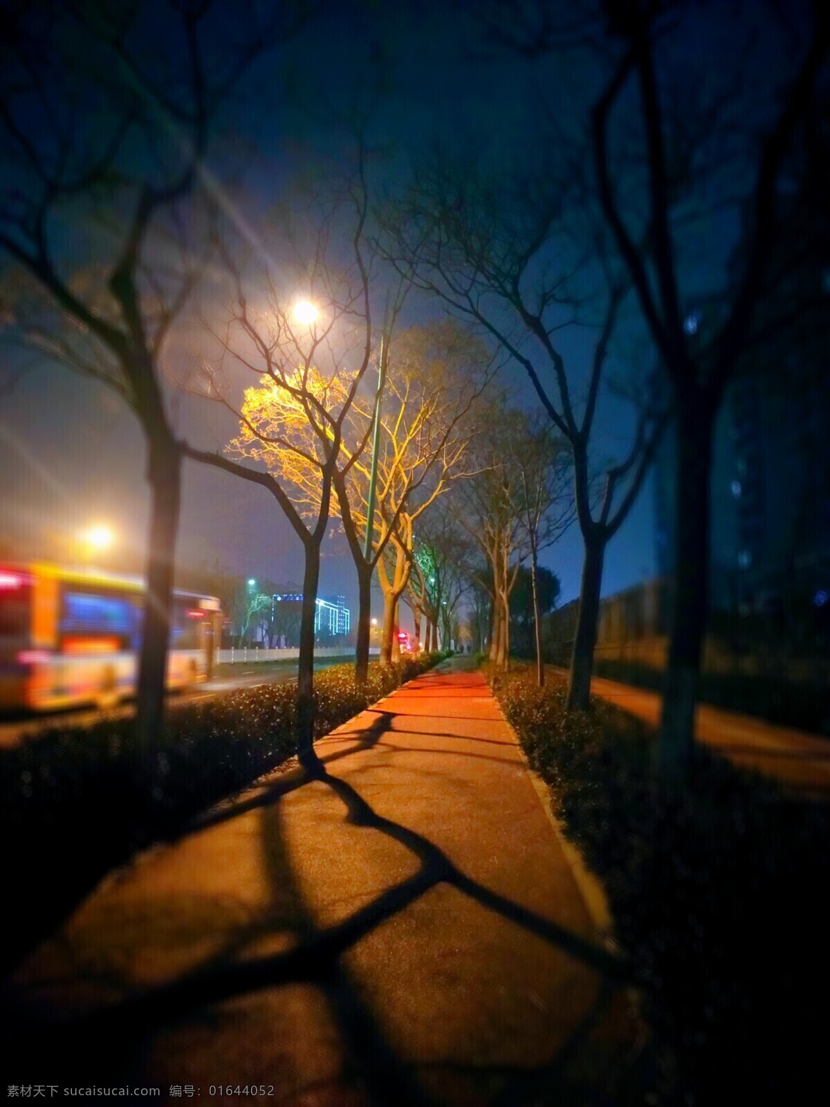 冬季 夜晚 路燈 人行道 溫暖 背景