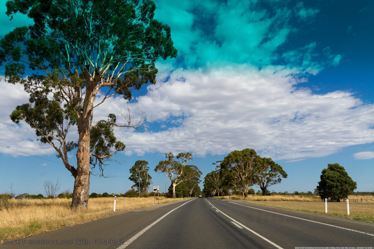巴拉瑞特 风景奇美 自然景观 明媚风光 树木 道路 草地 澳大利亚 旅游摄影 国外旅游