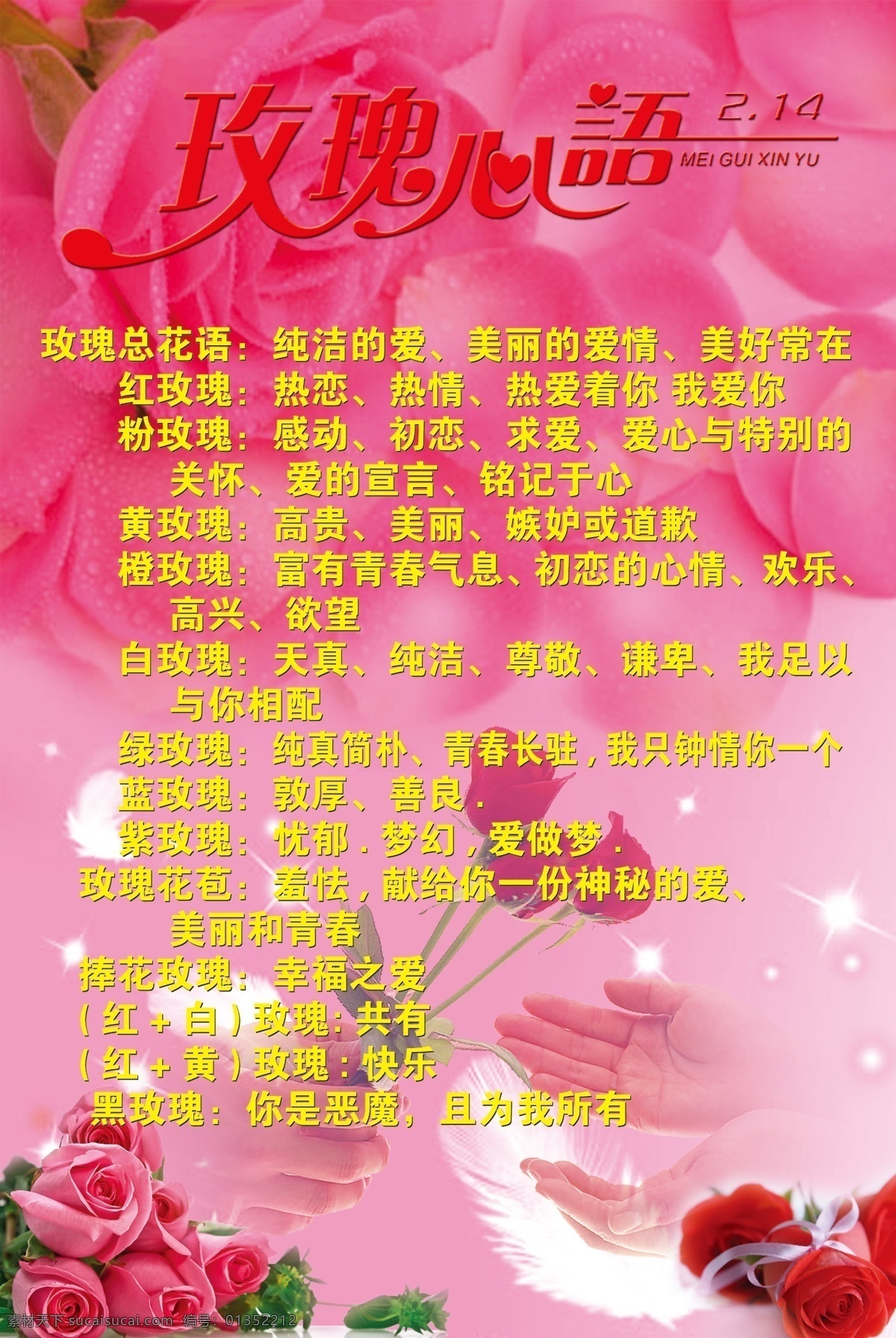 玫瑰 心語 分層 粉紅背景 玫瑰花 玫瑰心語 羽毛 源文件 模板下載 psd源文件