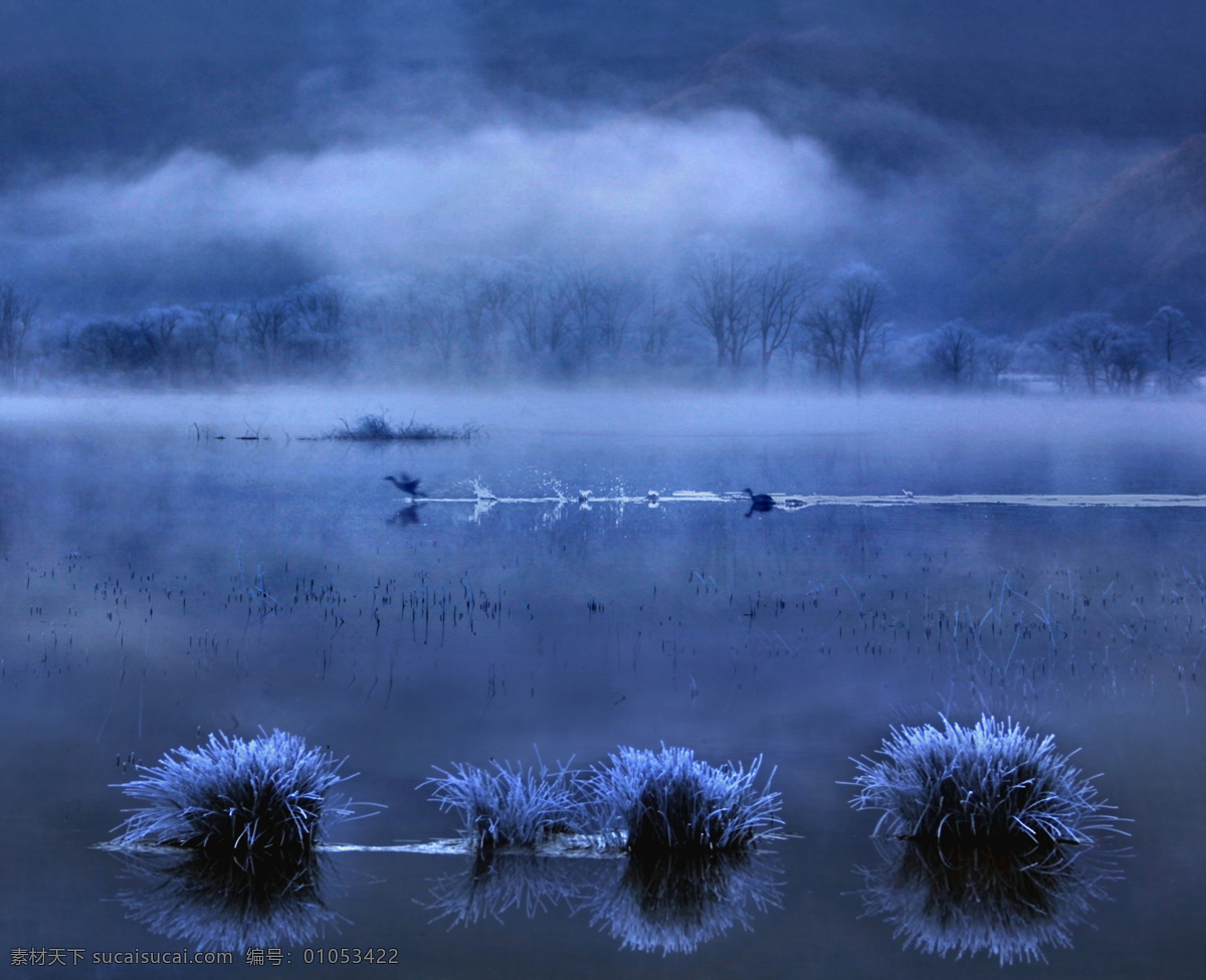 神农架 大九湖 湿地 风景 雪 山 雪景 冬天 植物 寒冬 水 湖 自然景观 自然风景