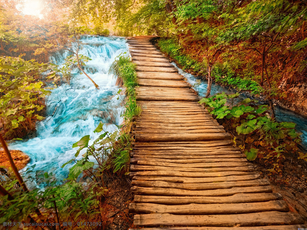 風(fēng)景攝影 小溪 流水 木橋 木道 陽(yáng)光 清新 意境 風(fēng)景 山水風(fēng)景 自然景觀