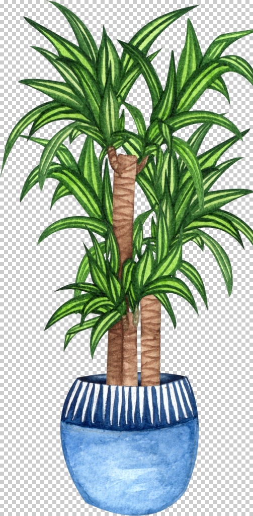 竹子水彩插畫 水彩盆栽 綠色植物 盆栽綠植 盆栽素材 植物景觀 綠植 裝飾品 盤栽 花盤 自然植物 植物水彩 清新水彩 手繪水彩 水彩 水彩擺件 水彩花 小清新 水彩繪畫 水彩元素 水墨 涂墨 彩繪 彩墨 動漫動畫