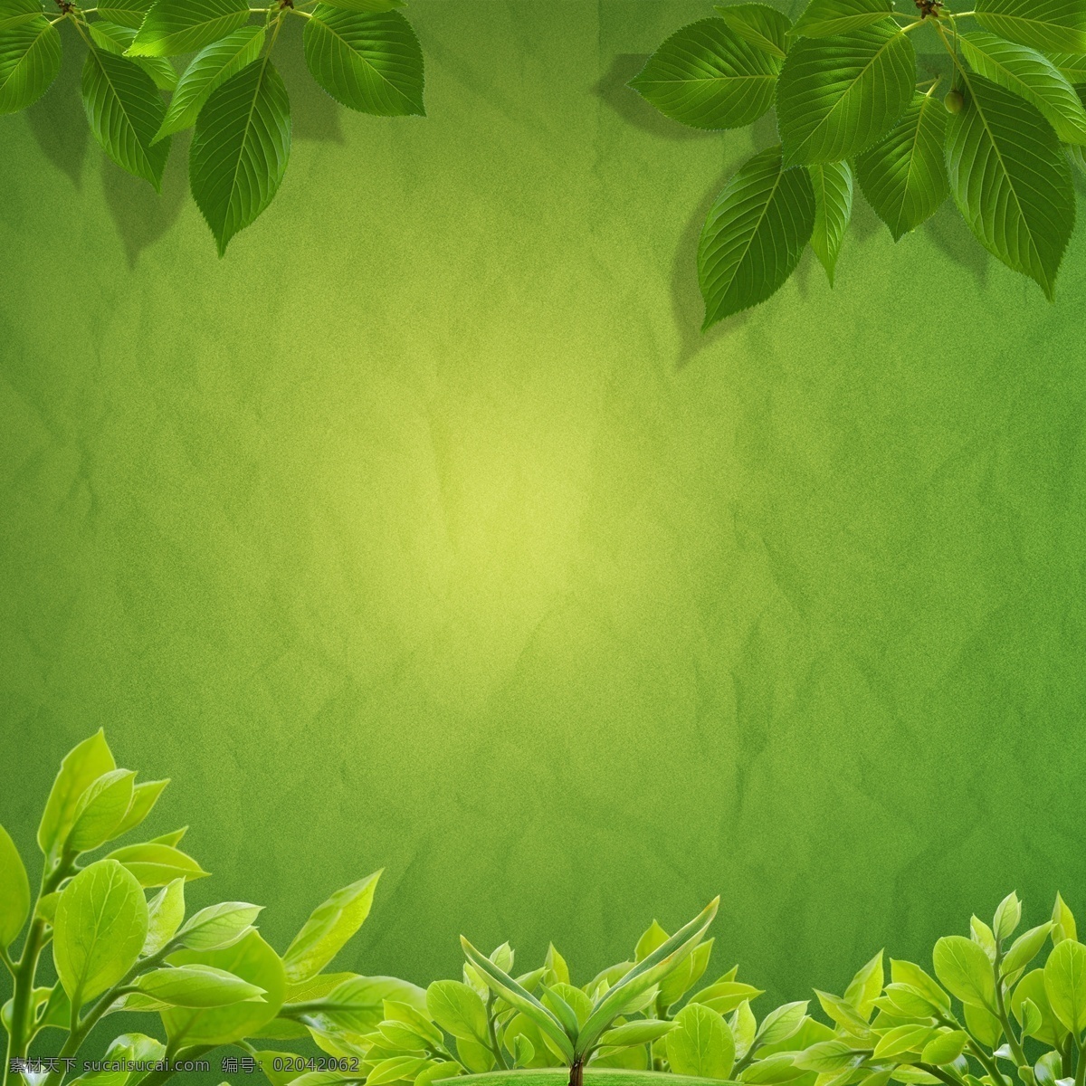 树叶 绿叶 绿化 嫩叶 高光 背景 新生 高光背景素材 广告素材 绿色背景素材