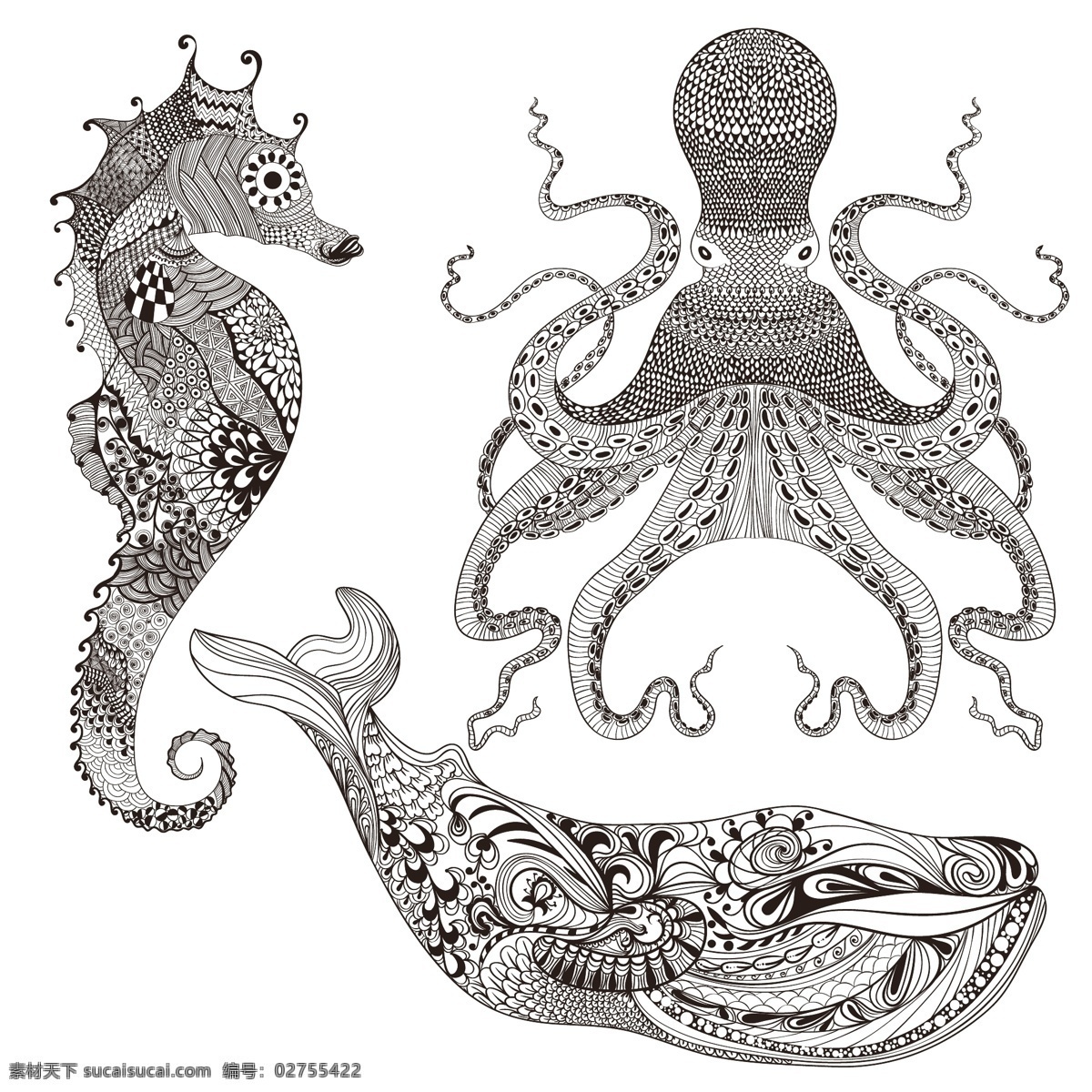 海洋 动物 花卉 装饰 图案 矢量 章鱼 乌贼