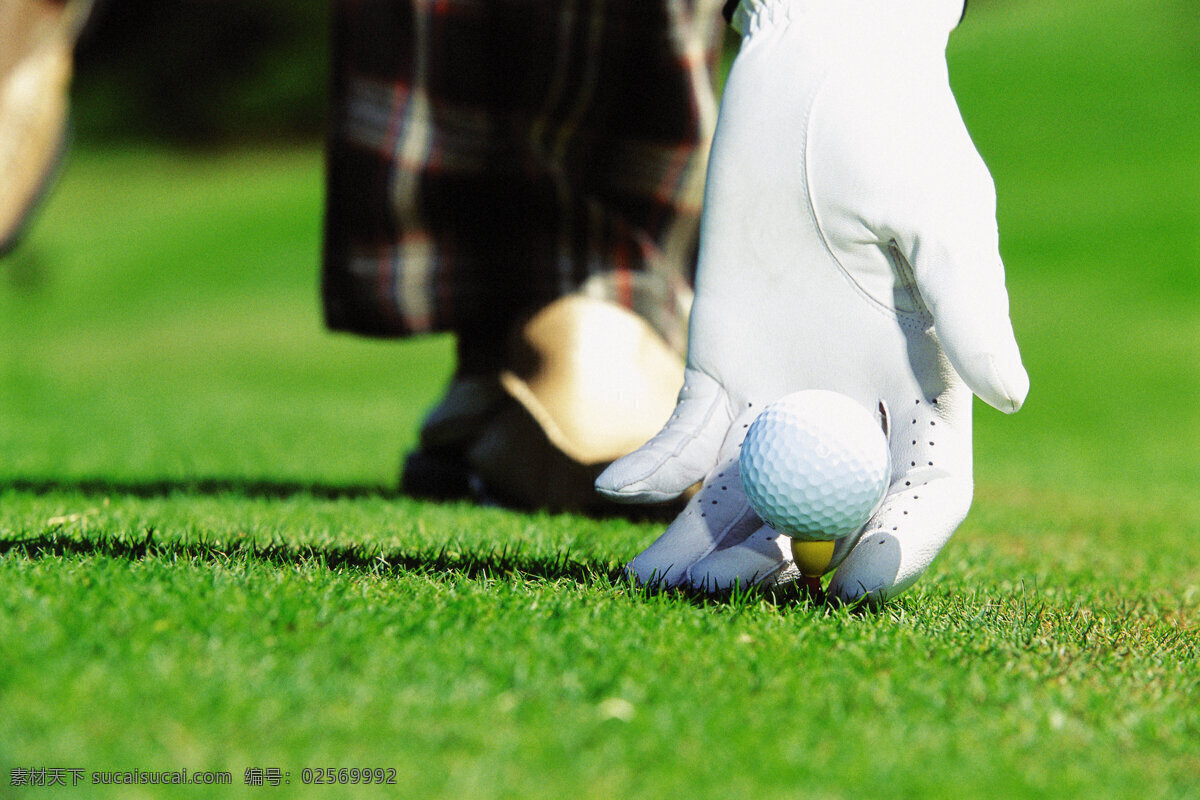 高尔夫球特写 高尔夫球 球场 贵族运动 休闲运动 尊贵运动 体育运动 生活百科 绿色