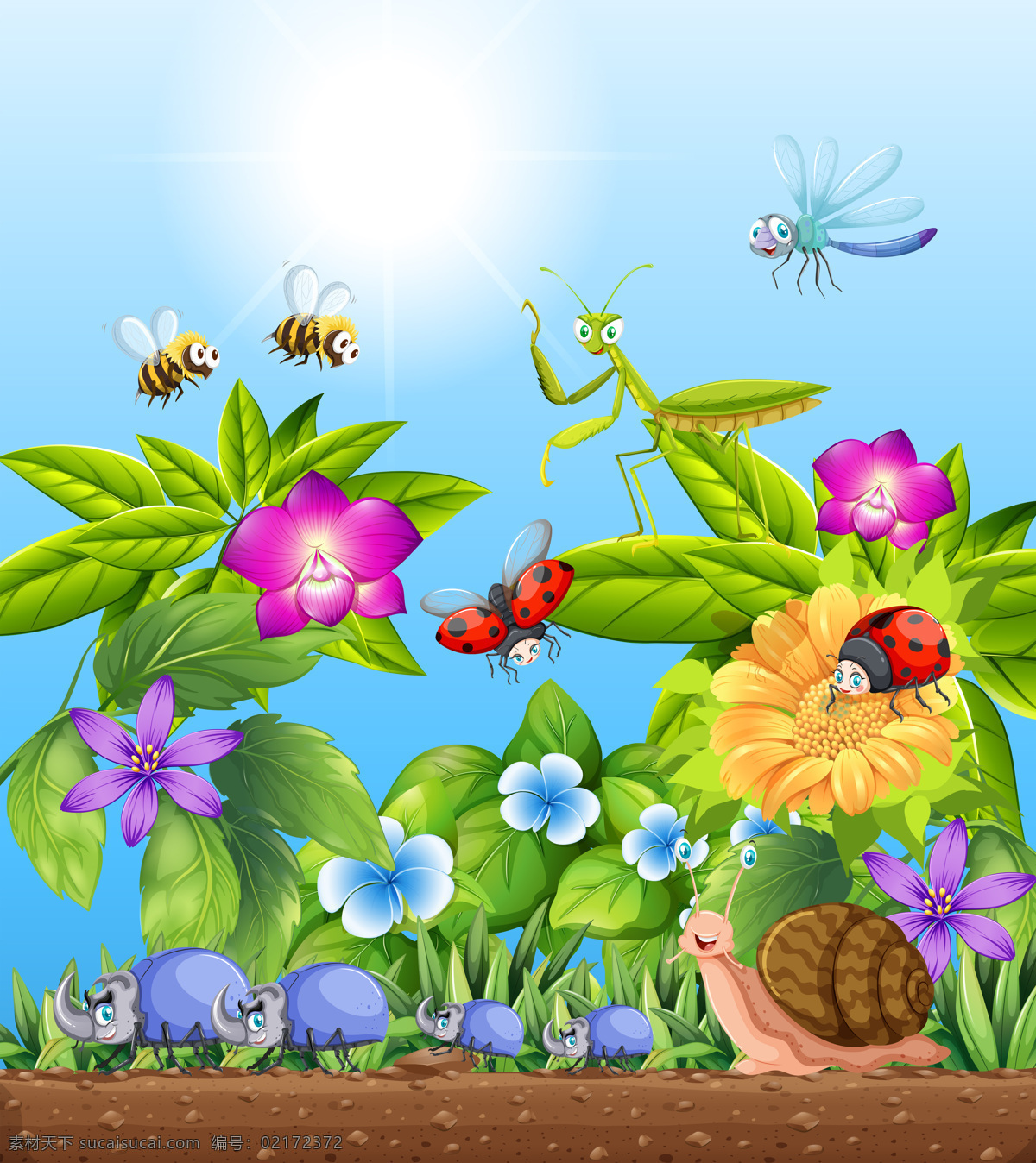 园林 插图 中 各种 昆虫 自然 艺术 植物 绘画 不同 种类