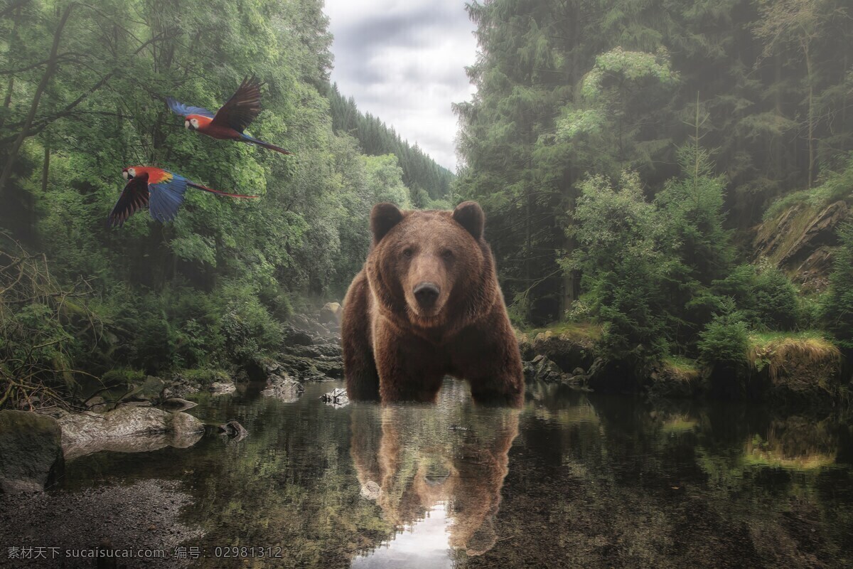 好莱坞 场景 合成 大自然 森林 熊 鸟类 8k 壁纸 创意合成 3d设计 3d作品