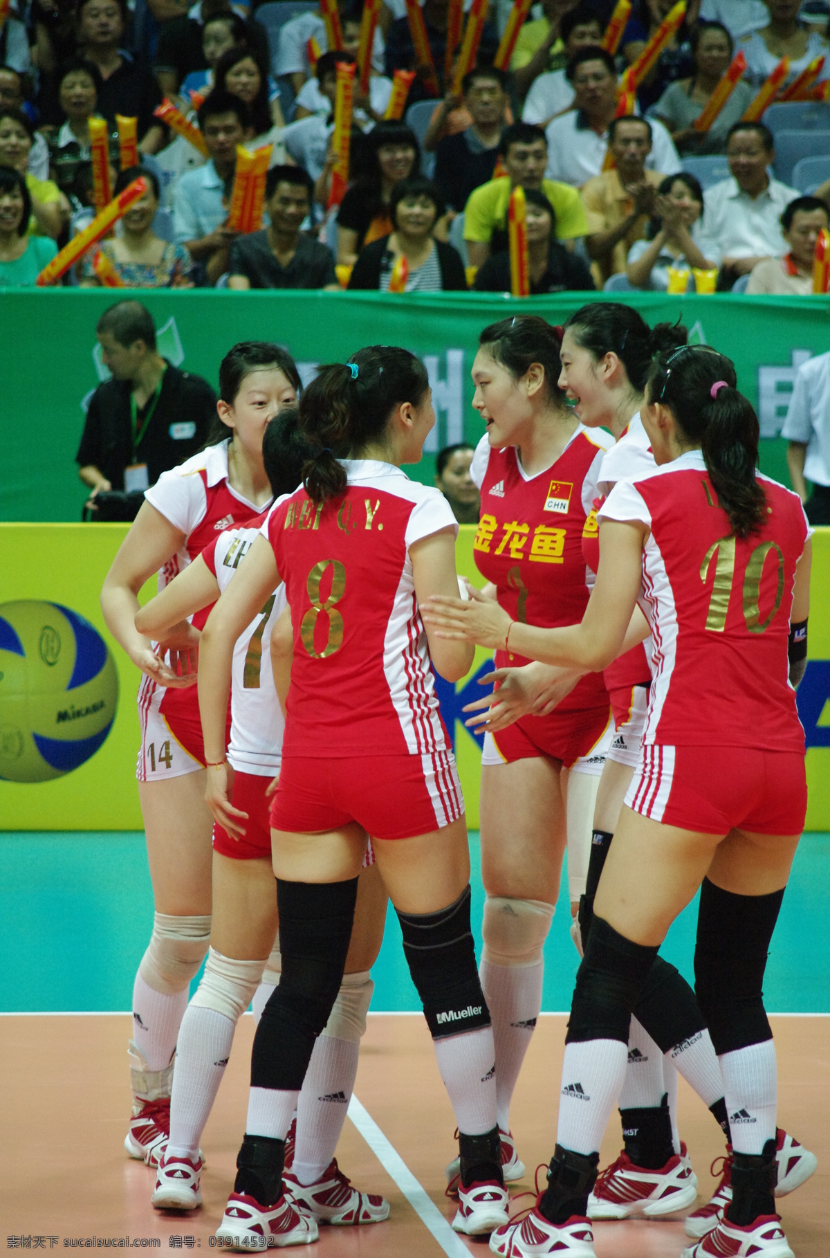 女排精彩瞬间 中国 美国 女排 对弈 比赛 精彩 瞬间 世界杯 体育运动 文化艺术