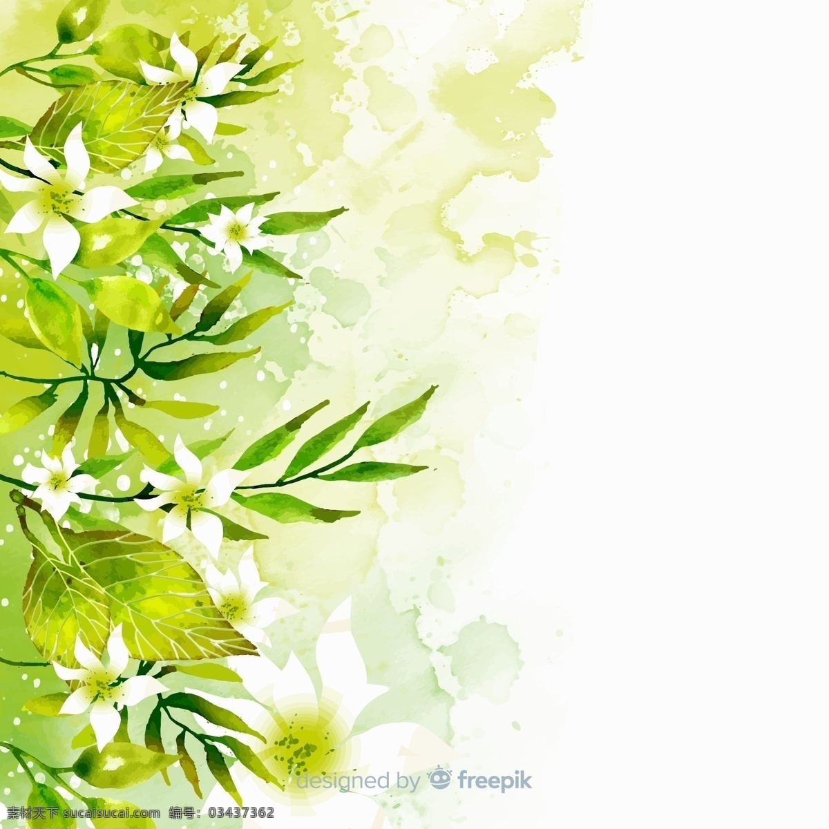绿色 树叶 白色 花卉图片 水彩 花卉 矢量图 矢量 高清图片