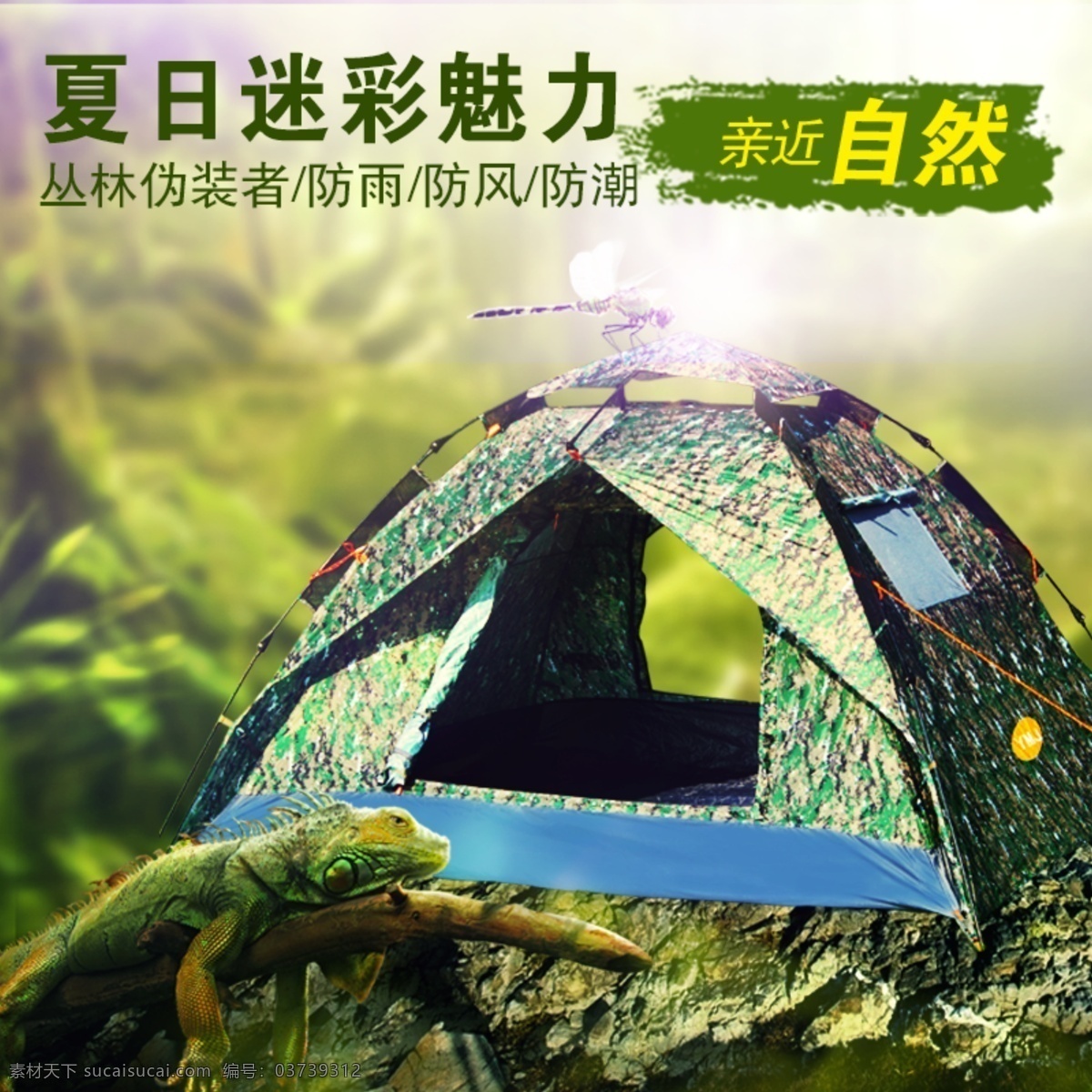 夏季 野營(yíng) 專(zhuān)用 戶(hù)外 帳篷 黑色