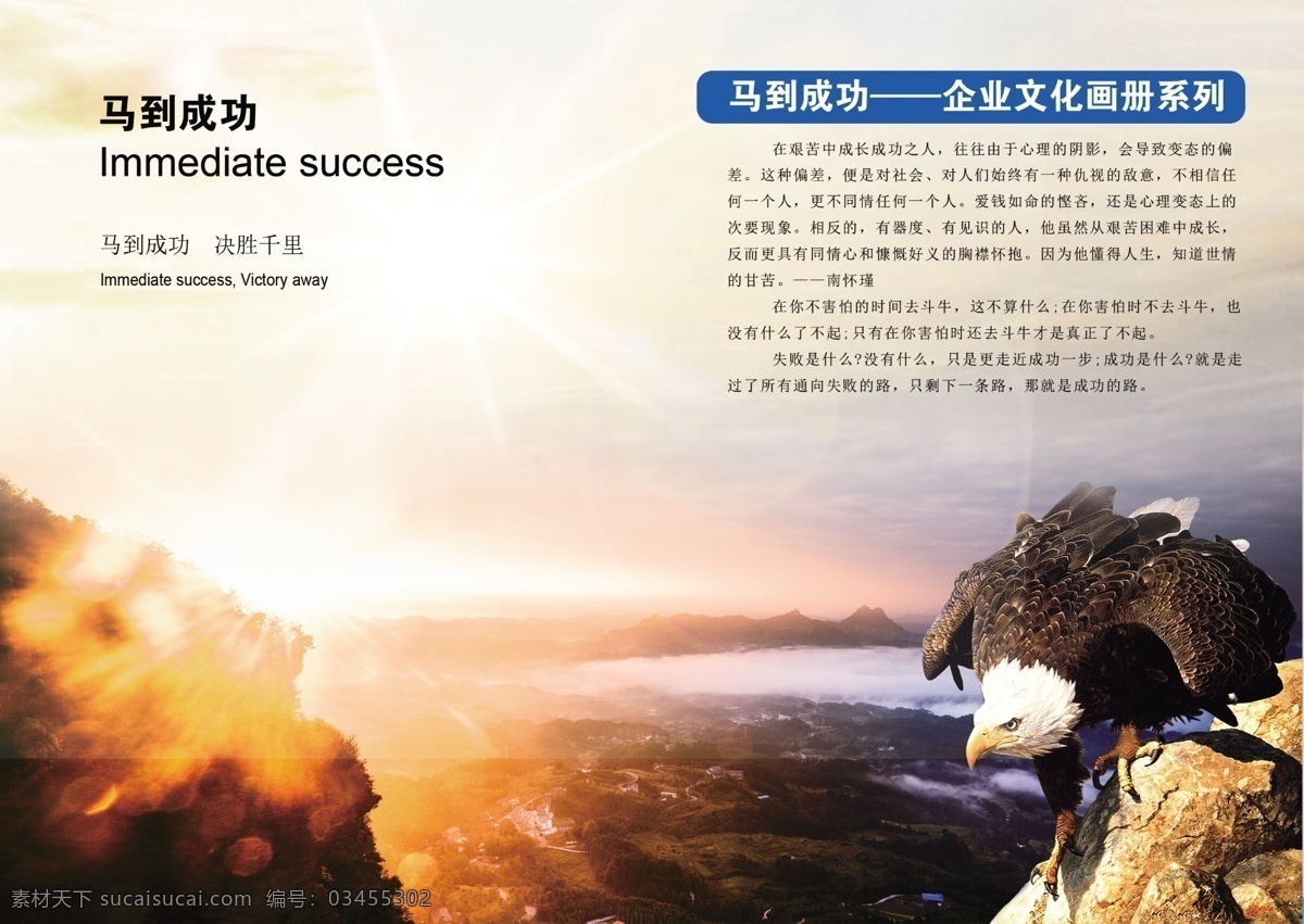 馬到成功圖片 馬到 成功 馬到成功 企業(yè) 公司 太陽 陽光 老鷹 展板模板