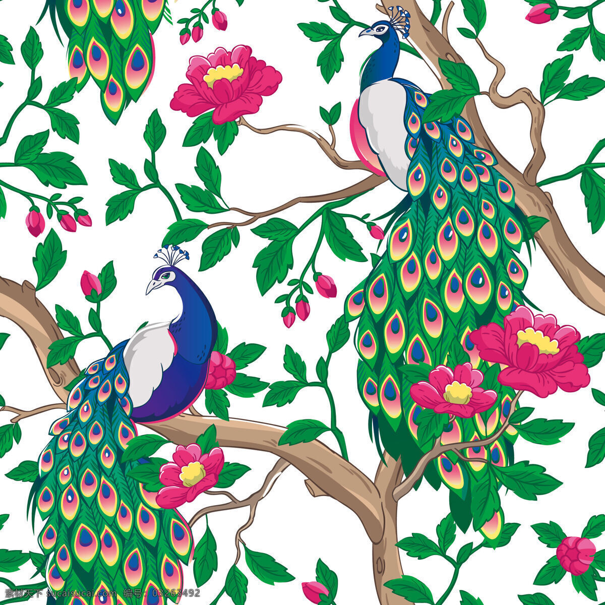 热带 风情 孔雀 壁纸 图案 装饰设计 树枝 孔雀图案 紫红色花朵 壁纸图案