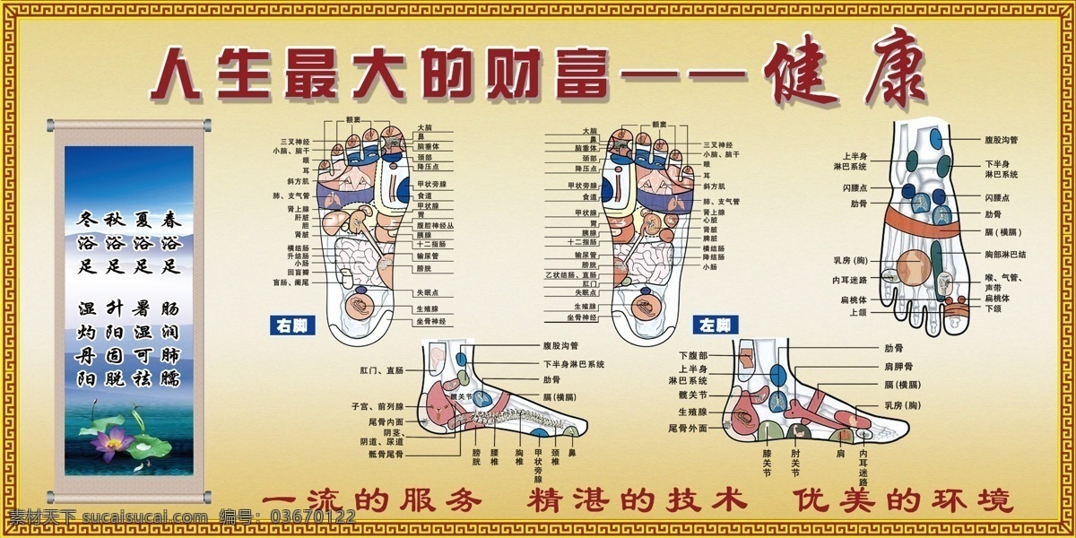 足療 畫軸 穴位示意圖 蓮花 分層 源文件