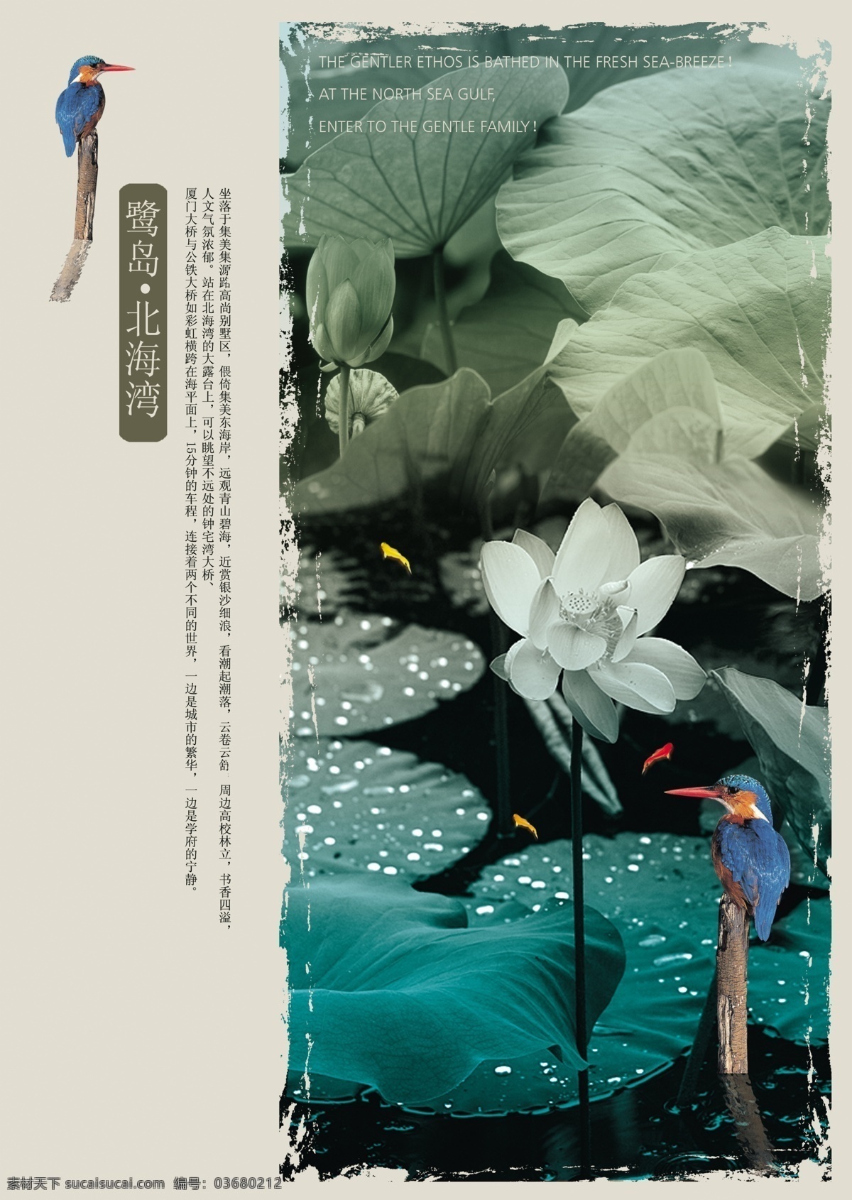 鷺島 北海 灣 淡雅 房產(chǎn) 古風(fēng) 荷花 荷葉 墨跡 中國風(fēng) 翠鳥 psd源文件