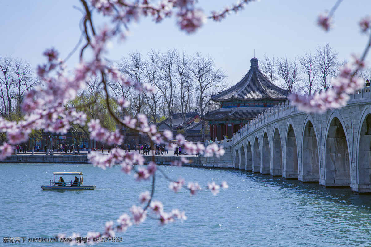 颐和园 樱花 亭子 十七拱桥 水面 自然景观 风景名胜