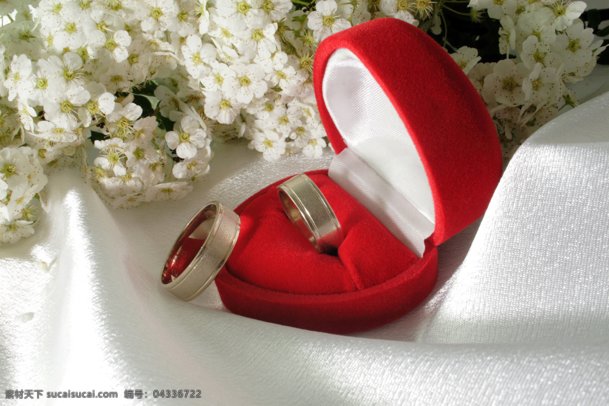 结婚 结婚戒指 幸福 婚姻 美满 首饰 礼盒 对戒 鲜花 雏菊 节日庆典 生活百科 白色