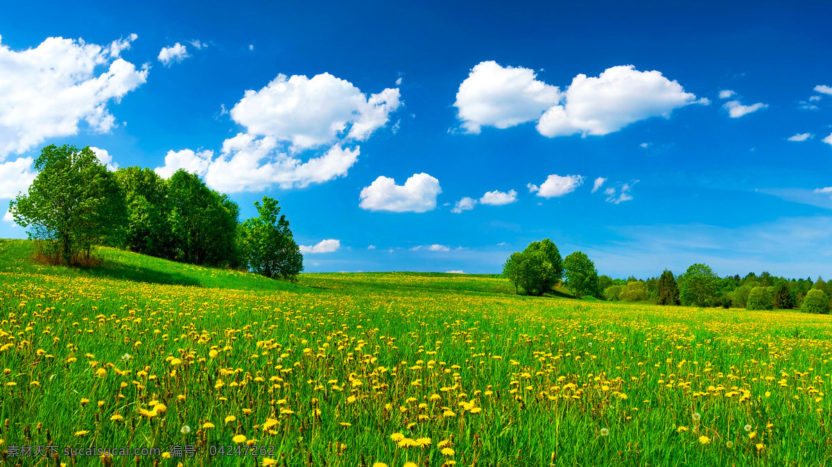 美丽的景色 自然景观 自然风景 高清 蓝天白云 草地 绿色 景色