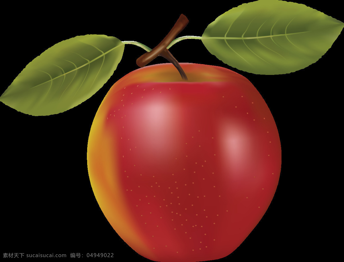 漂亮 红 颜色 苹果 免 抠 透明 图 层 青苹果 苹果卡通图片 苹果logo 苹果简笔画 壁纸高清 大苹果 红苹果 苹果梨树 苹果商标 金毛苹果 青苹果榨汁