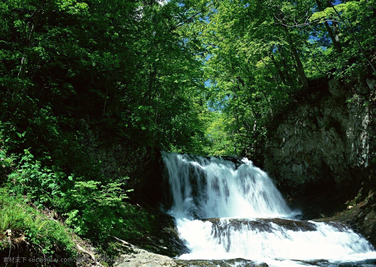自然之美 山涧 绿树 溪水 瀑布 清冽 自然景观 山水风景