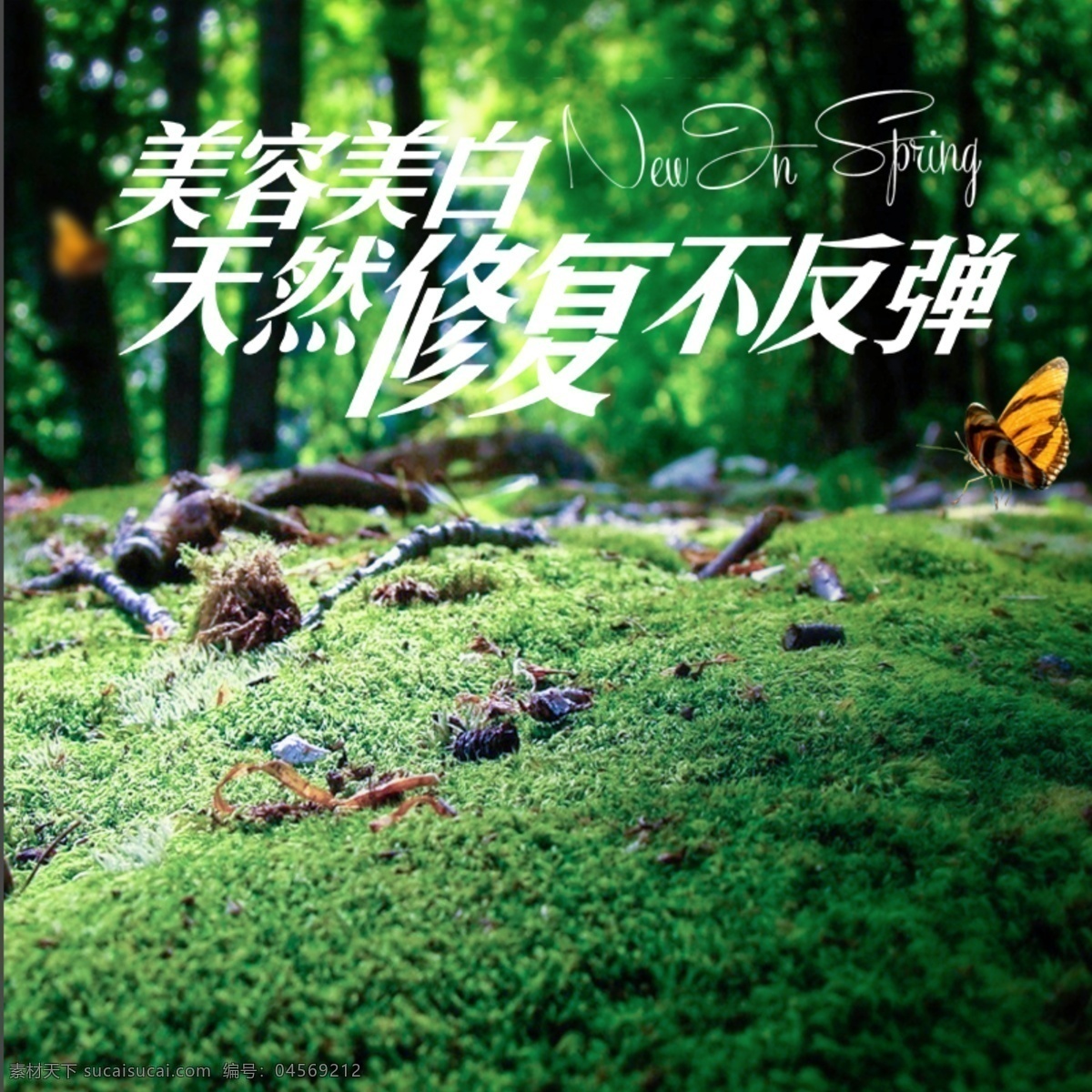 美容 完美 直通車(chē) 背景 圖 綠色 主圖
