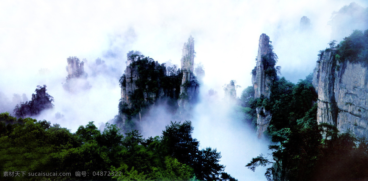 山雾缭绕 山雾 峭壁 松树 悬崖 天空 山水风景 自然景观