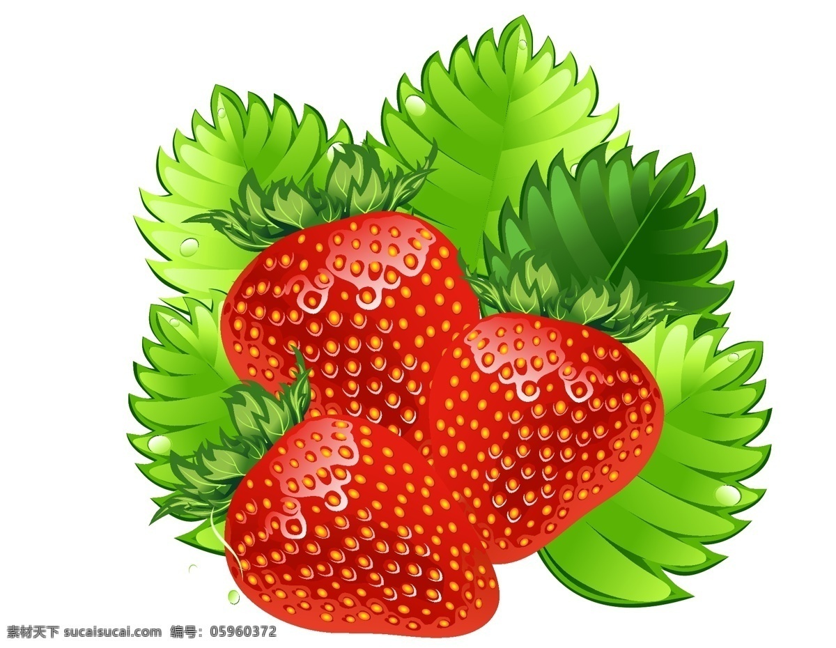 手绘 田园 新鲜 草莓 矢量图 水果 绿色 食物 透明元素 ai元素 免抠元素