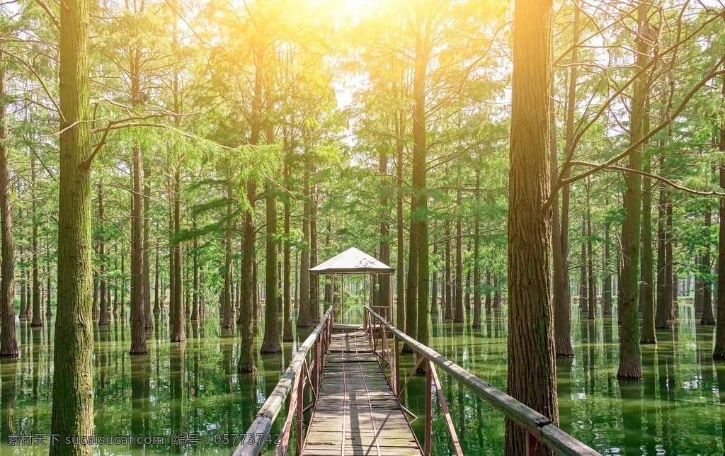 森林圖片 風(fēng)景 景觀 夕陽 黃昏 草木 森林 大樹 秋景 冬景 風(fēng)景圖片 景物 景物圖片 巖石 山峰 草原 大海 高原 山 山脈 河流 水流 溪流 瀑布 海岸線 夜景 美觀 唯美 壁紙 風(fēng)景壁紙 雪山 冰山 荒山 然景觀 大自然 美景 美景圖片 山水 海邊 天空