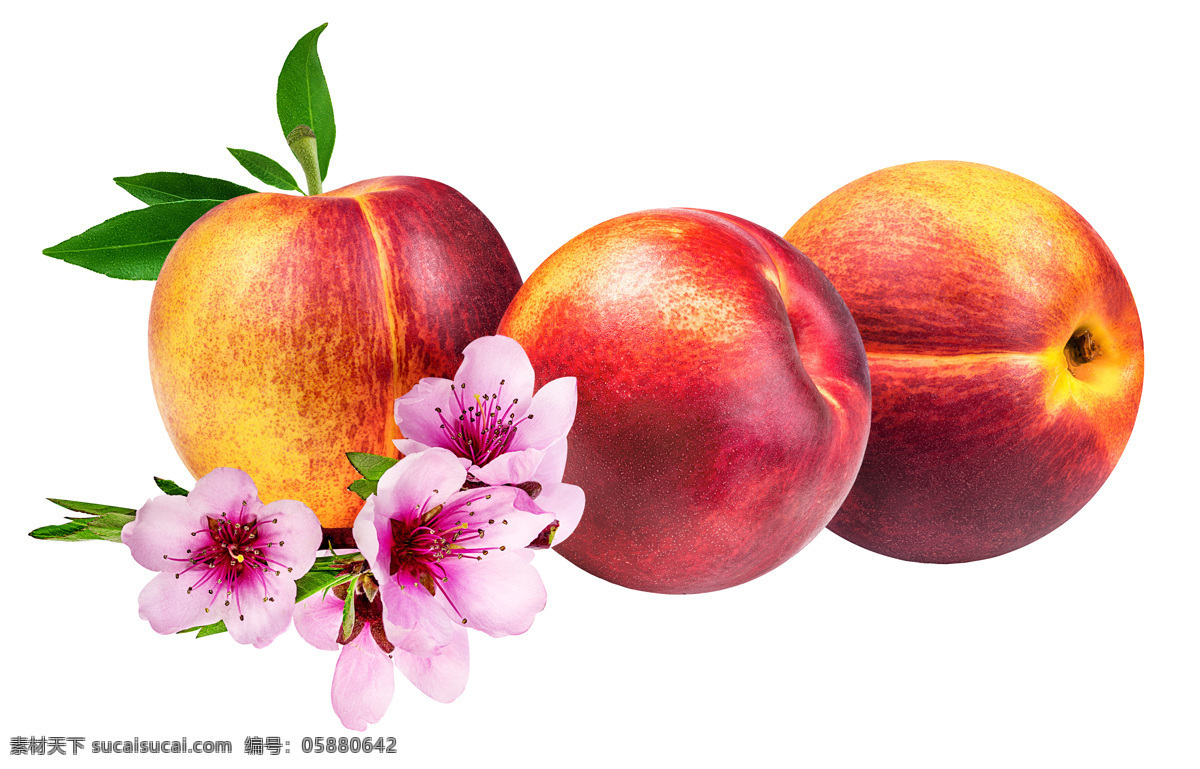 油桃 新鲜水果 农作物 特写 水果素材 生物世界 水果