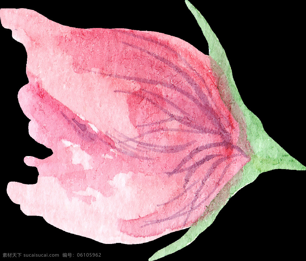 水彩 绘画 红色 花卉 透明 卡通 免扣 手绘 透明素材 装饰 设计素材 淘宝素材 海报设计装饰 装饰图案