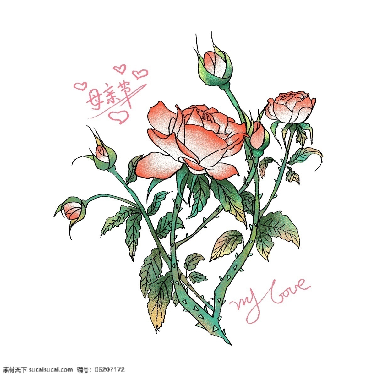 原創(chuàng) 手繪 母親節(jié) 粉色 玫瑰花 元素 禮物 鮮花 花卉 植物 玫瑰