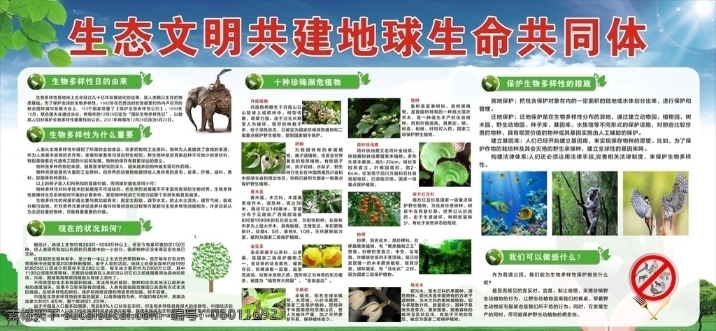 生态 文明 共建 地球 生命 共同体 节能周 低碳日 活动板报 绿色 广告