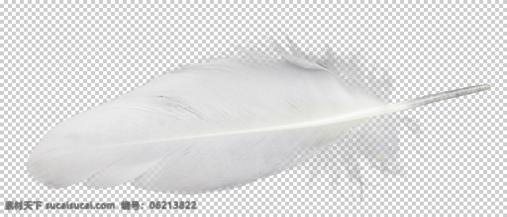 白色 羽毛 漂浮 素材图片 白色羽毛 动物羽毛 鸟类羽毛 漂浮素材 羽毛漂浮