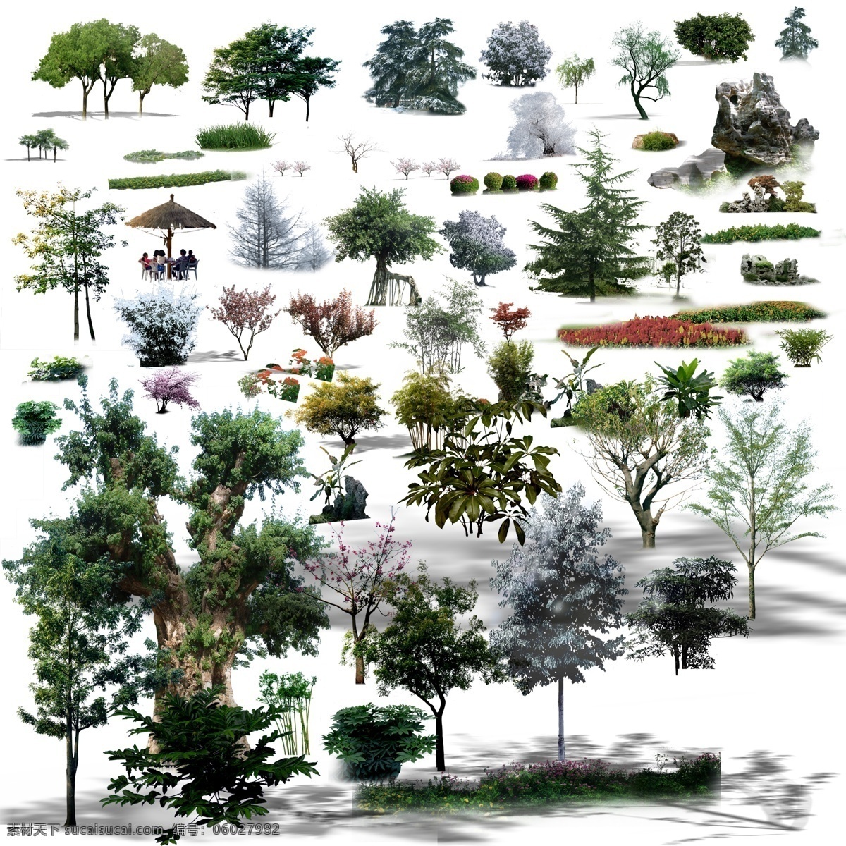 常用 植物 鸟瞰 景观后期 常用植物 鸟瞰植物素材 树种绿化 后期素材 配景 绿化景观 环境设计 园林设计 景观设计