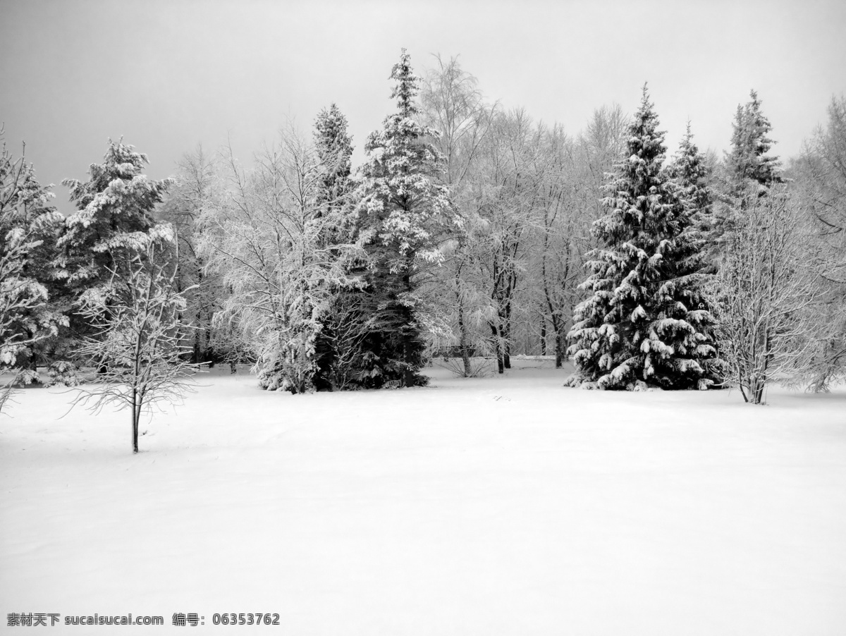冬天 雪景 圣诞节 寒冷 冰雪 实用 精美图片 印刷 适用 高清 创意 节日素材