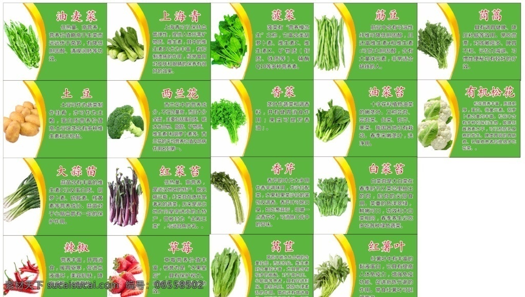 蔬菜 油麦菜 莴苣 土豆 草莓 大蒜苗 花菜 西兰花 蔬菜牌 菠菜 招贴设计