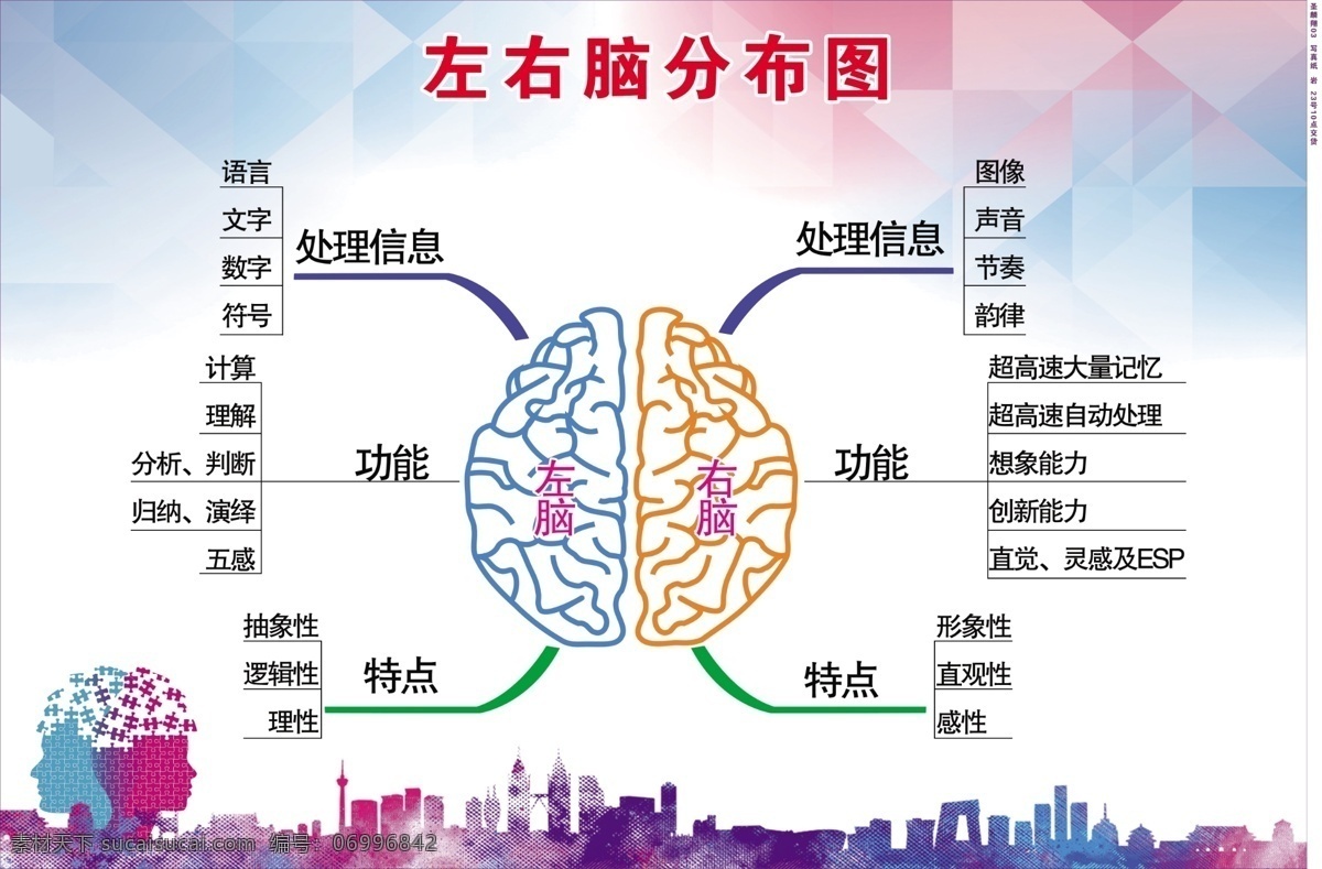 左右腦 分布圖 大腦 左腦 右腦 大腦功能 鬧開發(fā) 培訓(xùn)班 分層