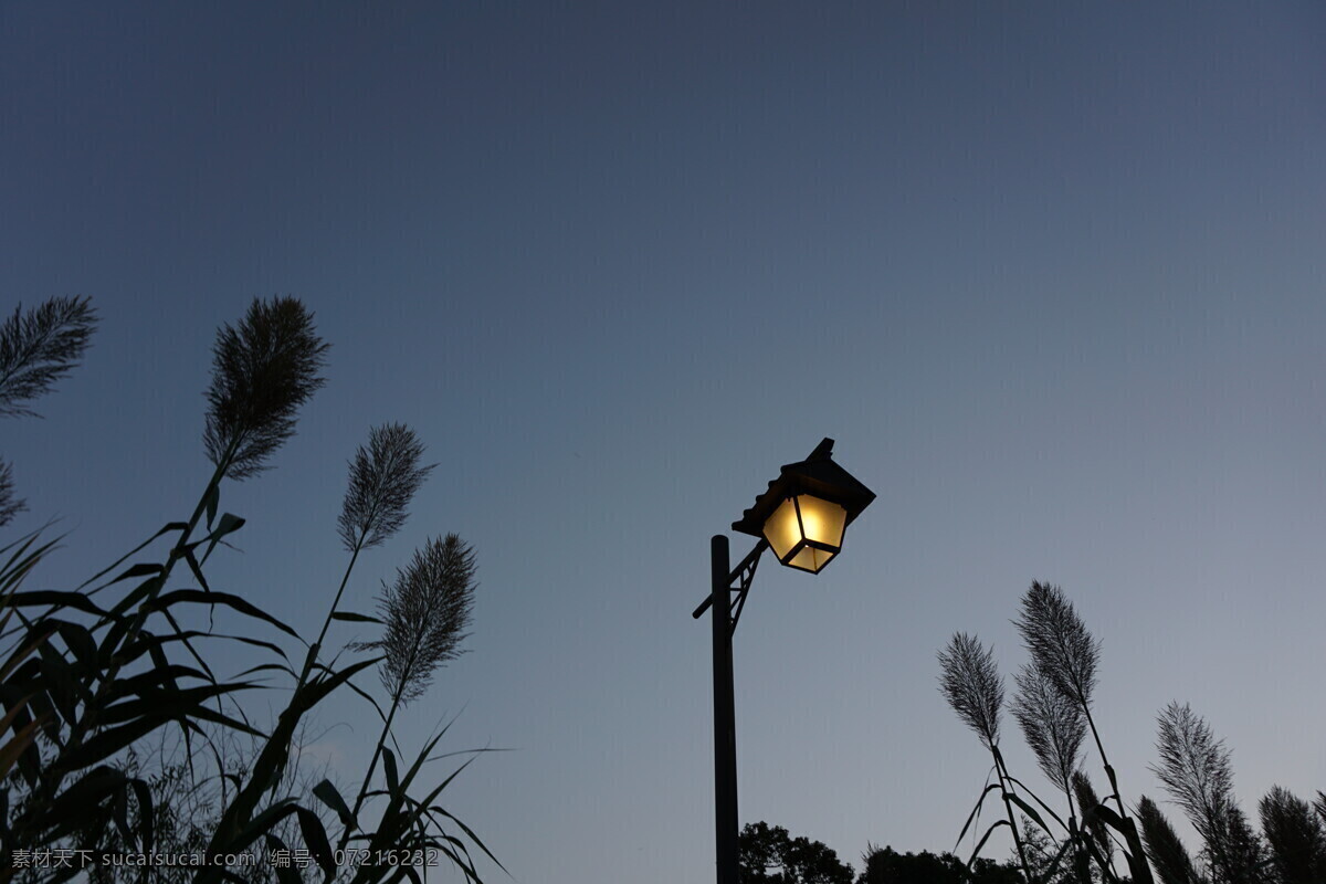 暮色 夜灯 灯 照明 晚上 场景 背景 自然景观 自然风景